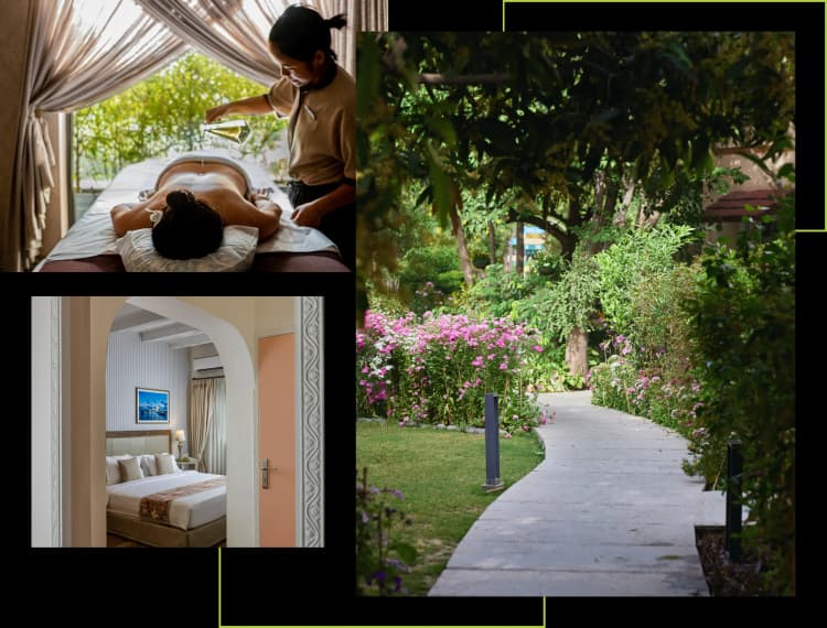 A Full-Circle Approach to Wellness
